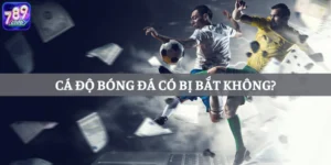 Cá Độ Bóng Đá Có Bị Bắt Không? Lưu Ý Khi Chọn Nhà Cái